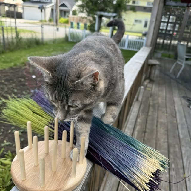 PRE-ORDER! Cat Stool aka Broom Buddy - Image 3